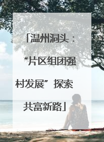 温州洞头：“片区组团强村发展”探索共富新路